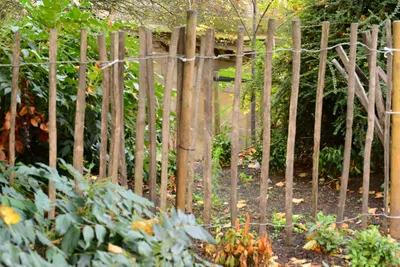 DSC_0690 (Large).JPG